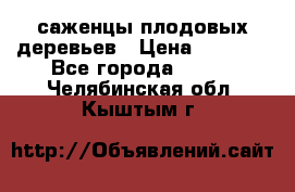 саженцы плодовых деревьев › Цена ­ 6 080 - Все города  »    . Челябинская обл.,Кыштым г.